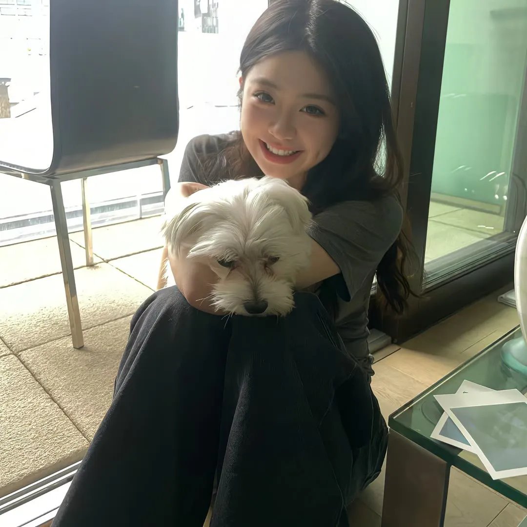 猎杀翼手龙 在线观看封面