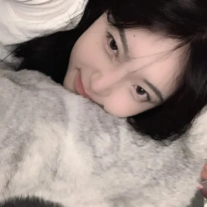 报仇雪恨 在线观看封面